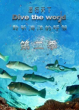 潜行天下 第二季海报